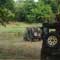 Foreign and local tourists trapped in Minneriya forest