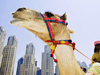 Attracting Middle East Investment Must be a Priority