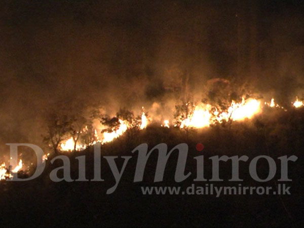 Forest fire at Lunugala