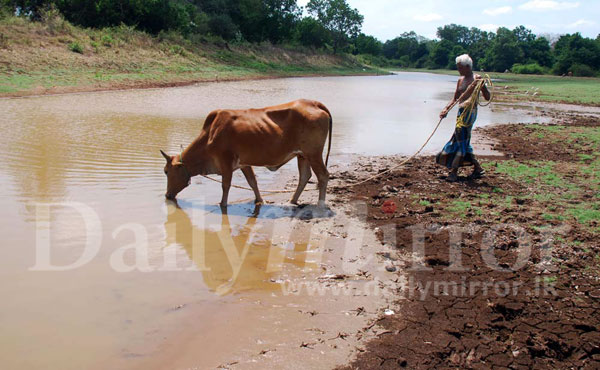 Tanks in Vanni drying up