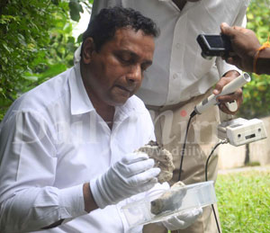 Video: Meteorite fragments found