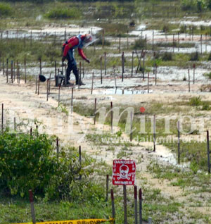 Heavy rains disrupt demining