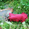 Abducted man found dead