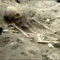 Court order to dig mass grave
