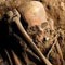 Specimens of skeletons to be sent to Florida lab