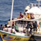 28 asylum seekers arrested