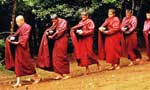 While soliciting ‘Foremost place for Buddhism’ Oppose Kathikavath Bill ?
