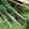Video: Oil leak in pipeline at Thotalanga