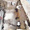 Cambridge experts to study Pahiyangala skeleton