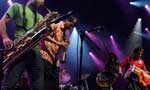 No ban on foreign artistes