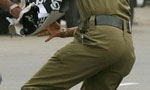 Two policemen injured during search