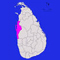 Puttalam election chief transferred