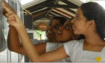 GCE A/L results release postponed