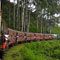 Rail services resume