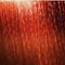 Audio:Tests find living organisms in Red rain