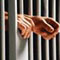 Nigerian scammer arrested