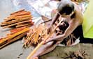 Ceylon cinnamon to  receive due recognition 