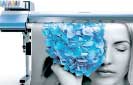 Hayleys Consumer appointed sole representative for Roland and Colorjet large format printers