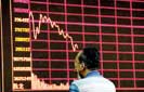 China market chaos blamed on exodus of regulatory ‘turtles’