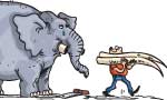 A salute for the slain tuskers