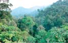 Indonesia pledges 29% emissions cut by 2030