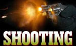 Sub inspector injured after being fired at