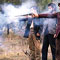 Bodies of two gangsters found