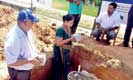 EU-UNDP support agricultural producers in Monaragala