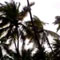 Cyclone storm likely to move past KKS