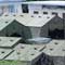 Nauru's lessons in disco survival