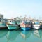 25 Indian fishermen in custody