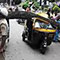 Falling tree kills trishaw driver