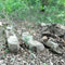 Archaeologists unearth Buddhist artefacts in Kilinochchi