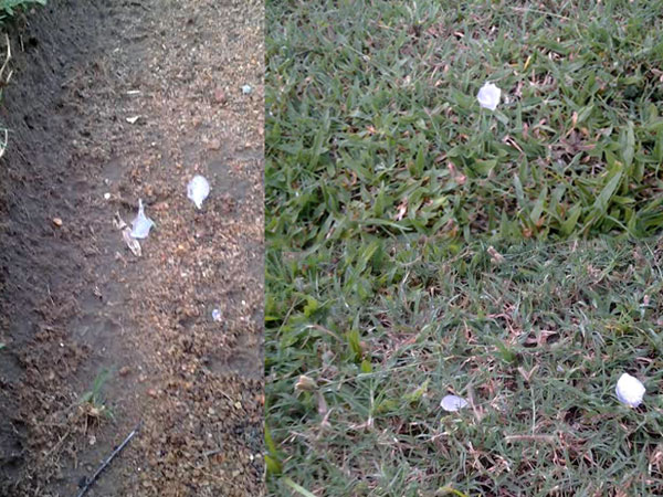 Hail in Paranthan