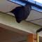 Wasps kill election officer 