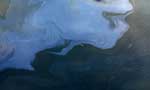 Oil contamination; water supply disrupted again