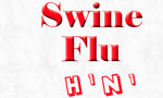  H1N1 is not bird or swine flu: Department