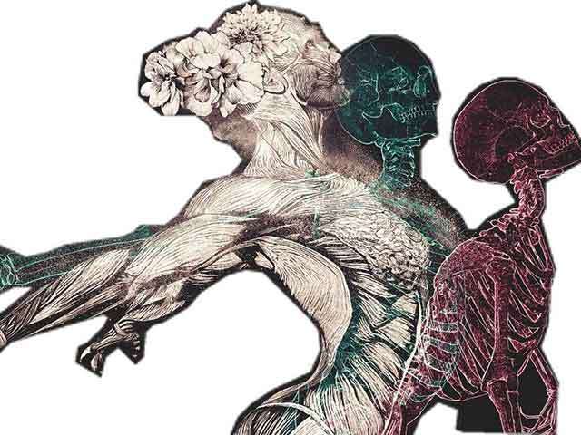 Once You Understand Neuroplasticity, There’s No Going Back