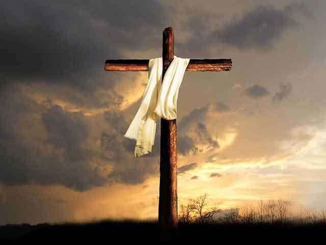 The Hands She Once Held