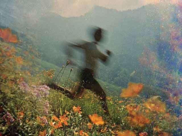 “Bravery Is Madness, They Said” Drapetomania and the Disease of Freedom