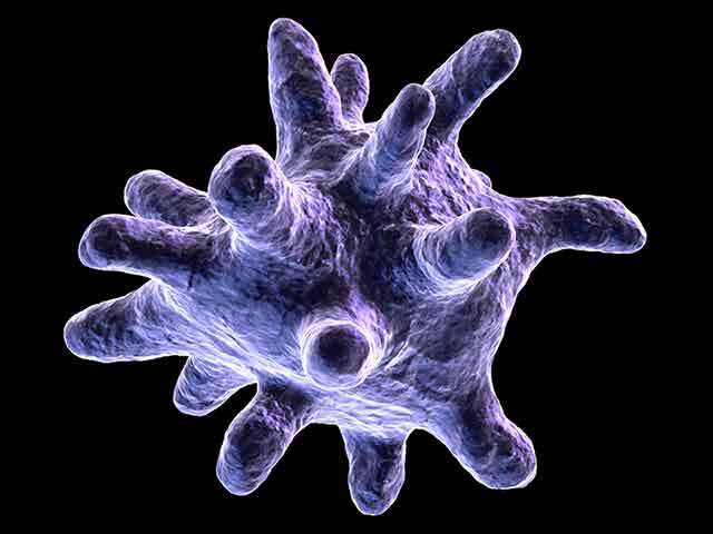 The Cells That Keep Us Young May Hold the Secret to Aging