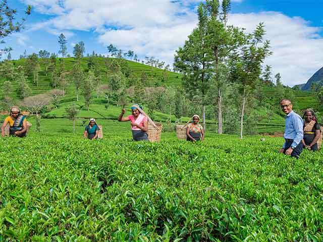 Towards a More Sustainable Future for Sri Lanka.