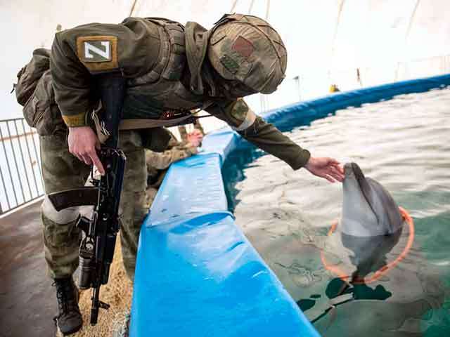 What About Us? The Ocean’s Silent Cry in Times of War
