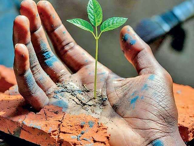 A Homegrown Lifeline for Contemporary Art: A4A 2026