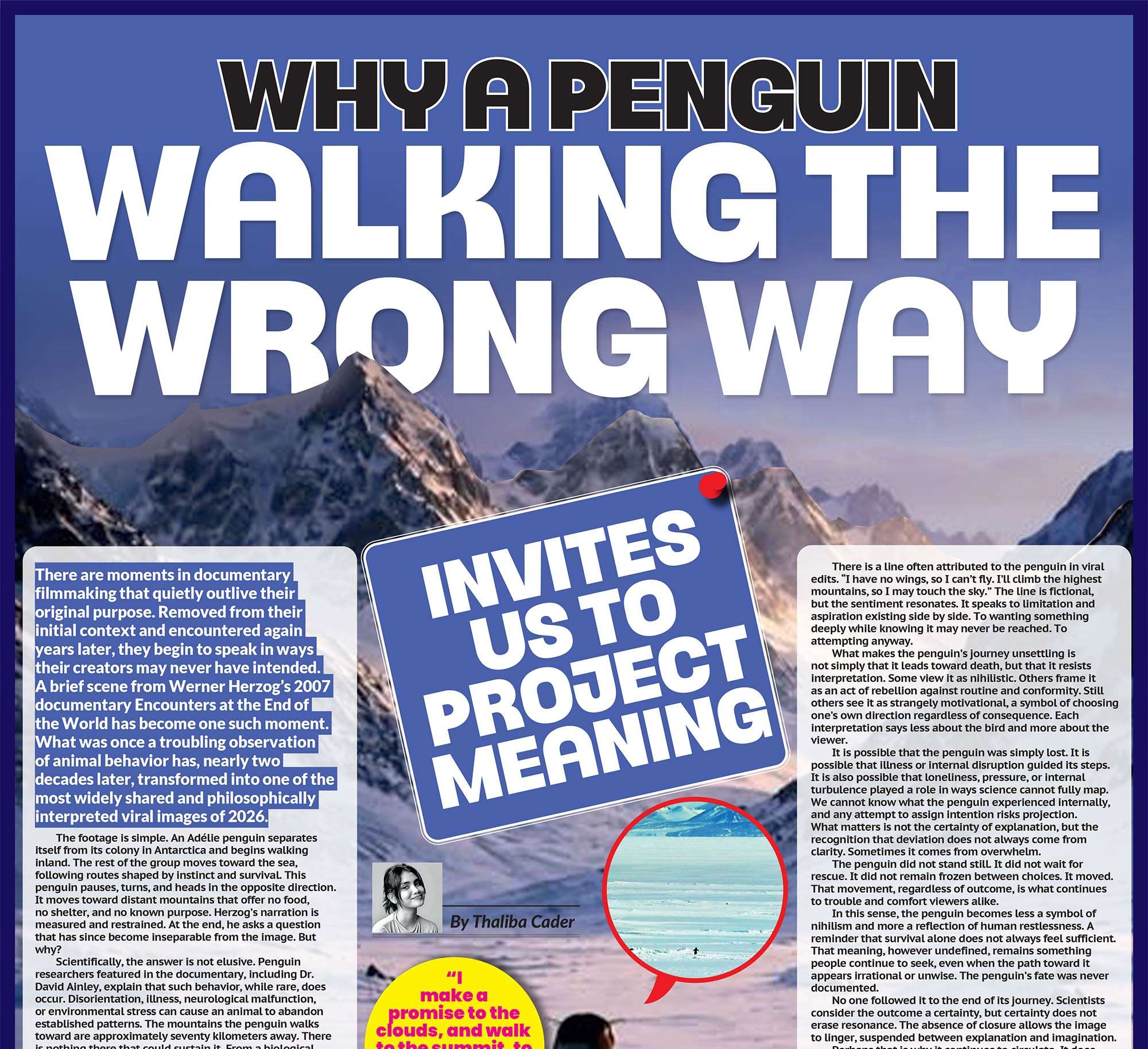 Why a Penguin Walking the Wrong Way Invites Us to Project Meaning