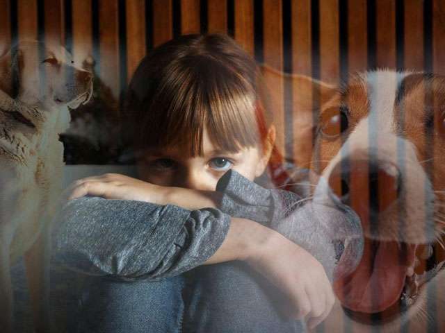 “He Won’t Bite”: Being Deathly Afraid of Man’s Best Friend
