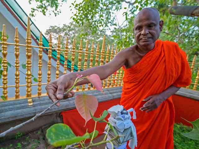 Pallegama Hemarathana Thero Case: Where Were the Women as Principled Men Confronted the State Over a Broken Child?