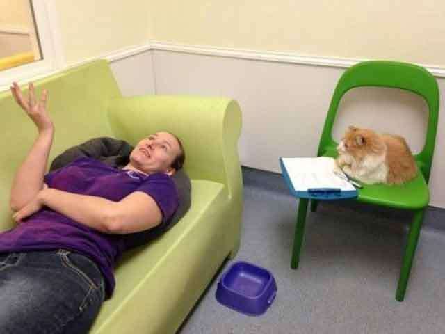 Four Paws, A Little More Comfort: How Pets Can Make a Difference in the Lives of Autistic Children