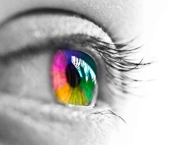 Why Your Brain Fights Itself: The Hidden Power of Focus