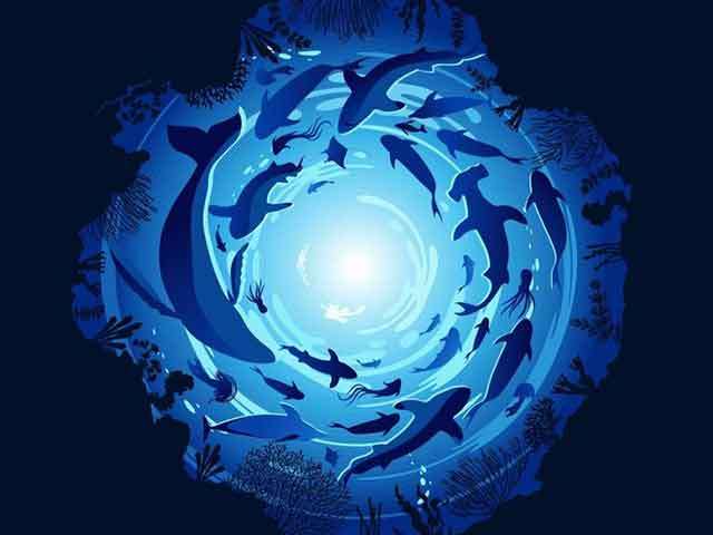 ‘For the Ocean, With Love.’ World Oceans Day with The Pearl Protectors.